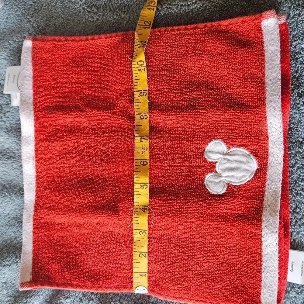 Lot of 5 Disney wash cloths